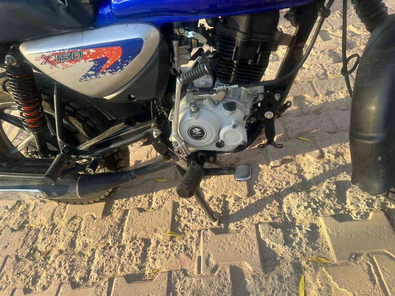 السلام عليكم.
بوكسر موديل ٢٠٢٣. مرقمه وبأسمي والتحويل ثاني يوم.

١-لايت زينون

٢-البوكسر جبلي

٣-مرقمه

. الدراجه بحاجه الى تجفيت وبسبب ضيق الوقت عارضها للبيع بدون تجفيت الدراجه حتى هسه دتمشي وكلشي مابيها بس ينرادلها ادامه (تجفيت) 

سبب البيع/ عفت الدلفري ف ما احتاجها بعد والا هيه الدراجه كلشي مابيها وكلش حلوه .

الشراي يتصل على هذا الرقم
سعرها ١٨٥٠ وبيها مجال

عنوانها :بغداد البياع 

***********
