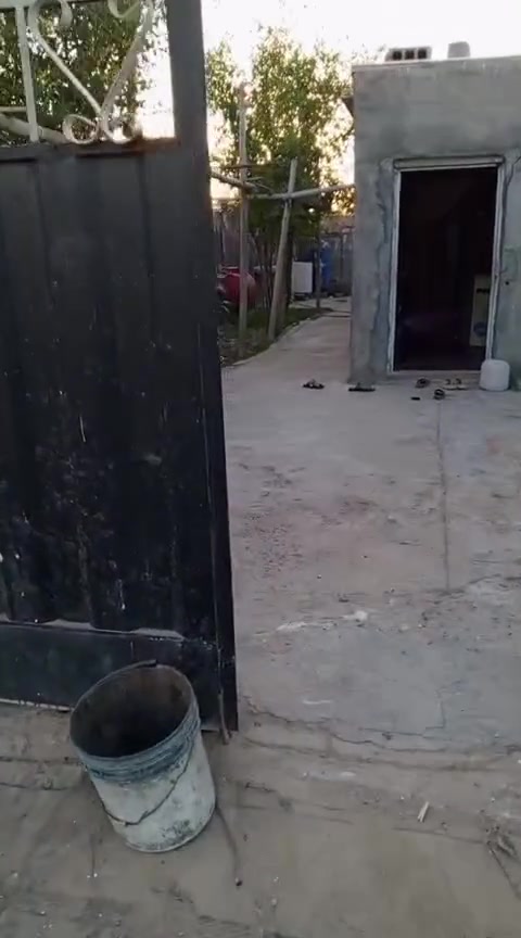 اخوان ذني بيتين  الاول مسحته 100 صب سعره 25 اوبي مجال
ول 

ثاني مساحته 200 ابو الحديقه سعره 20

  مسكوف سندويج  العنوان عبر الجدول مقابيل ابليبيج 

 التفاصيل ***********
