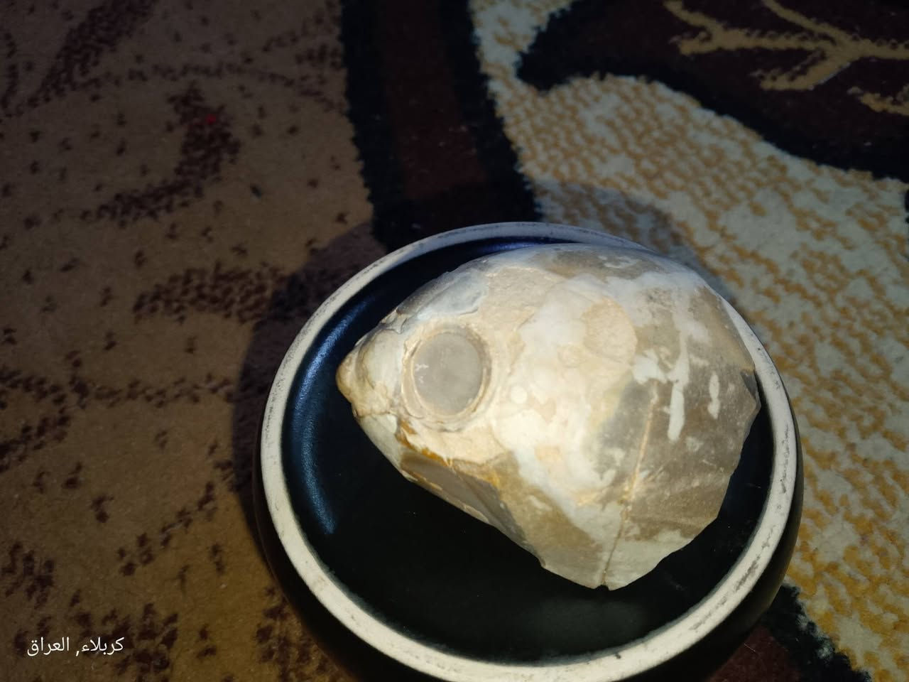 حجر  عُقدة صوان علا شكل رأس سمكه متحجر بي  بلورات كوارتز (جيود صغير) سعر قيم وخذ متوفر توصيل


**إذا كنت صاحب هذا الإعلان وتريد حذفه لأي سبب، رجاءا أرسل رسالة إلى الدعم الفني**