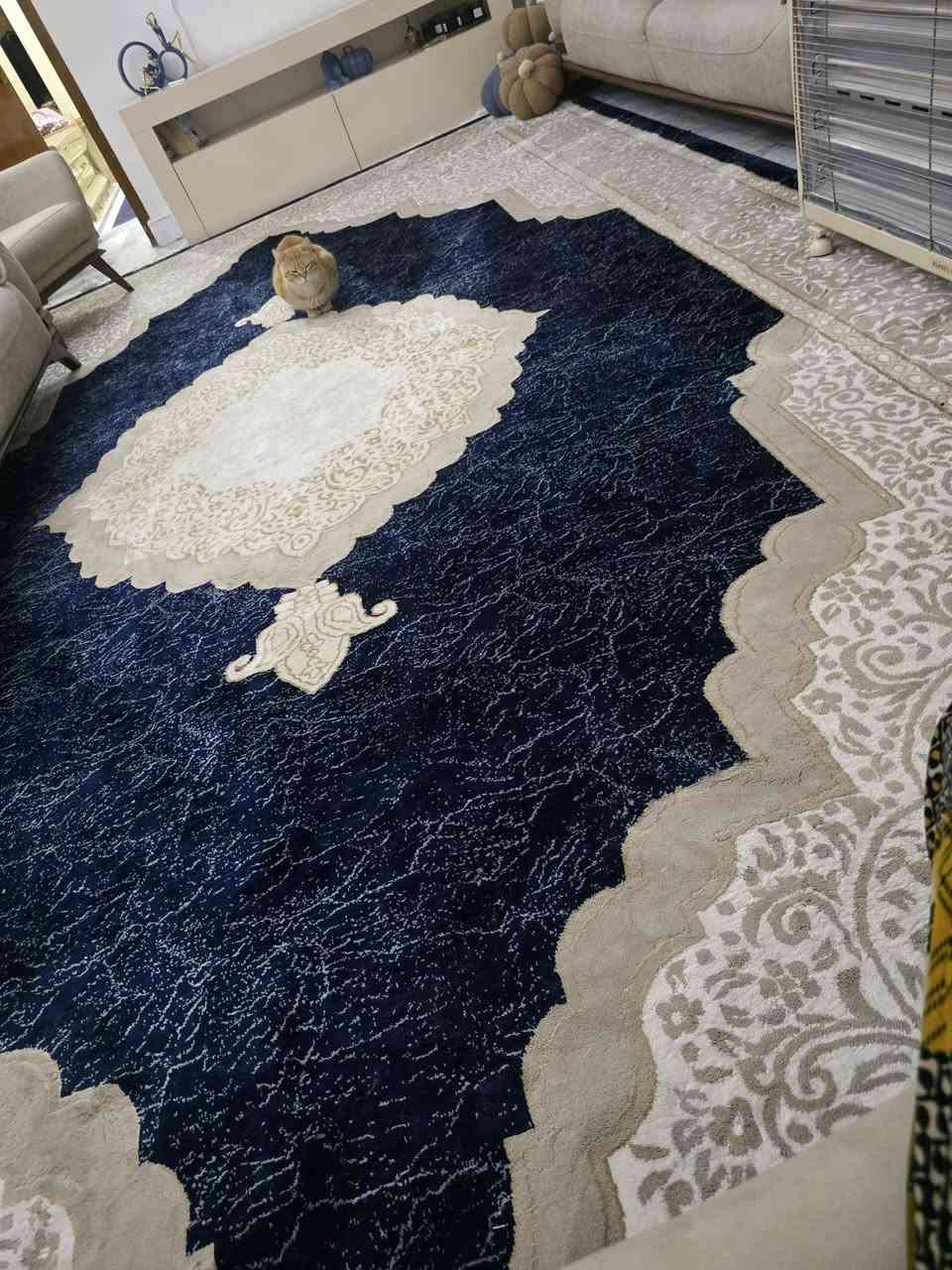 طخم وزوليه وميز البلازما للبيع كلياتهن مليون ورقع


**إذا كنت صاحب هذا الإعلان وتريد حذفه لأي سبب، رجاءا أرسل رسالة إلى الدعم الفني**