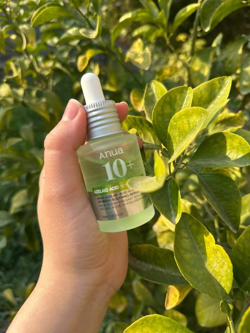 السلام عليكم مجموعه عنايه بالبشره قطع محدوده متوفره عندي


**إذا كنت صاحب هذا الإعلان وتريد حذفه لأي سبب، رجاءا أرسل رسالة إلى الدعم الفني**