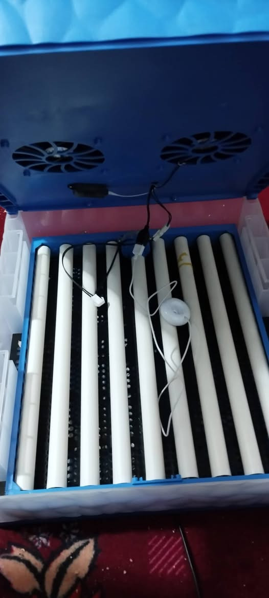 فقاسه مالت بيض البيع 120وبيهه مجال مكان كربلاء  حي نضال ***********
