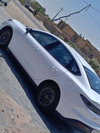 سيل 5 • ٢٠٢٥ • الديوانيه
