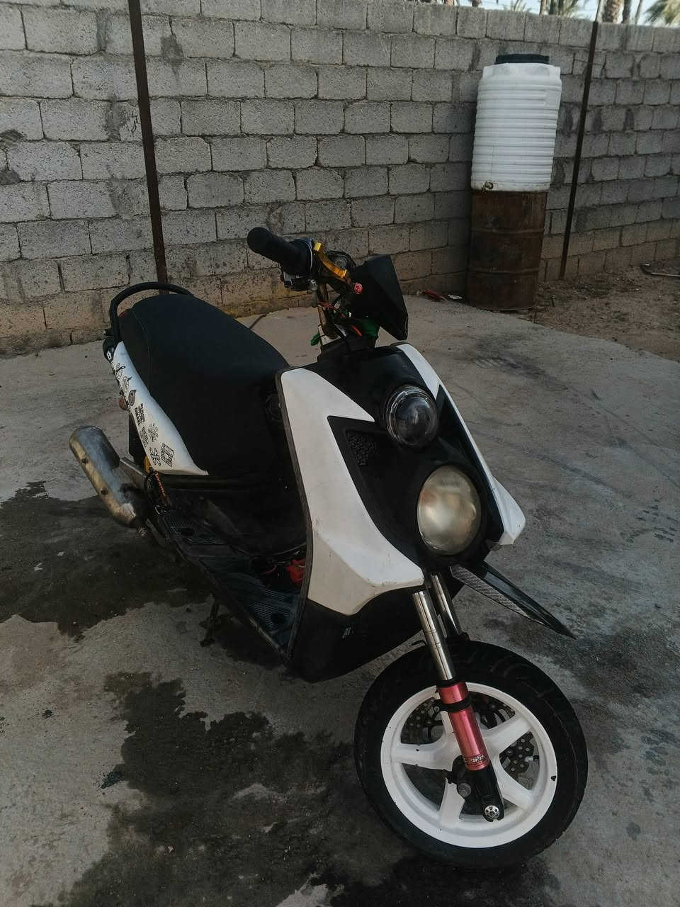 سلام عليكم سكنس جبلي مكفوله مكان كربلاء هذه رقمي ***********شراي يتصل
