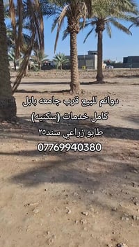 أرض • قرب جامعة بابل