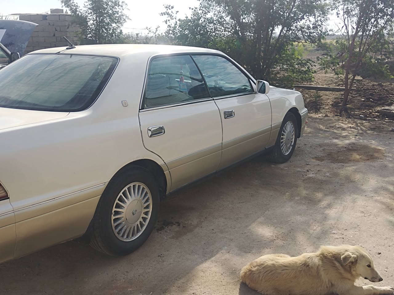 كفاله سياره سعر 95 ويها مجال قليل البصره القرنه ***********
ترهم مراوس بجنون
