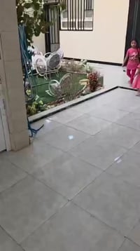 ابو الخصيب مهيجران • طابو زراعي • بناء حديث