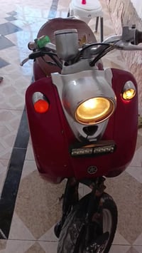 مصريه • شغاله • ناصرية