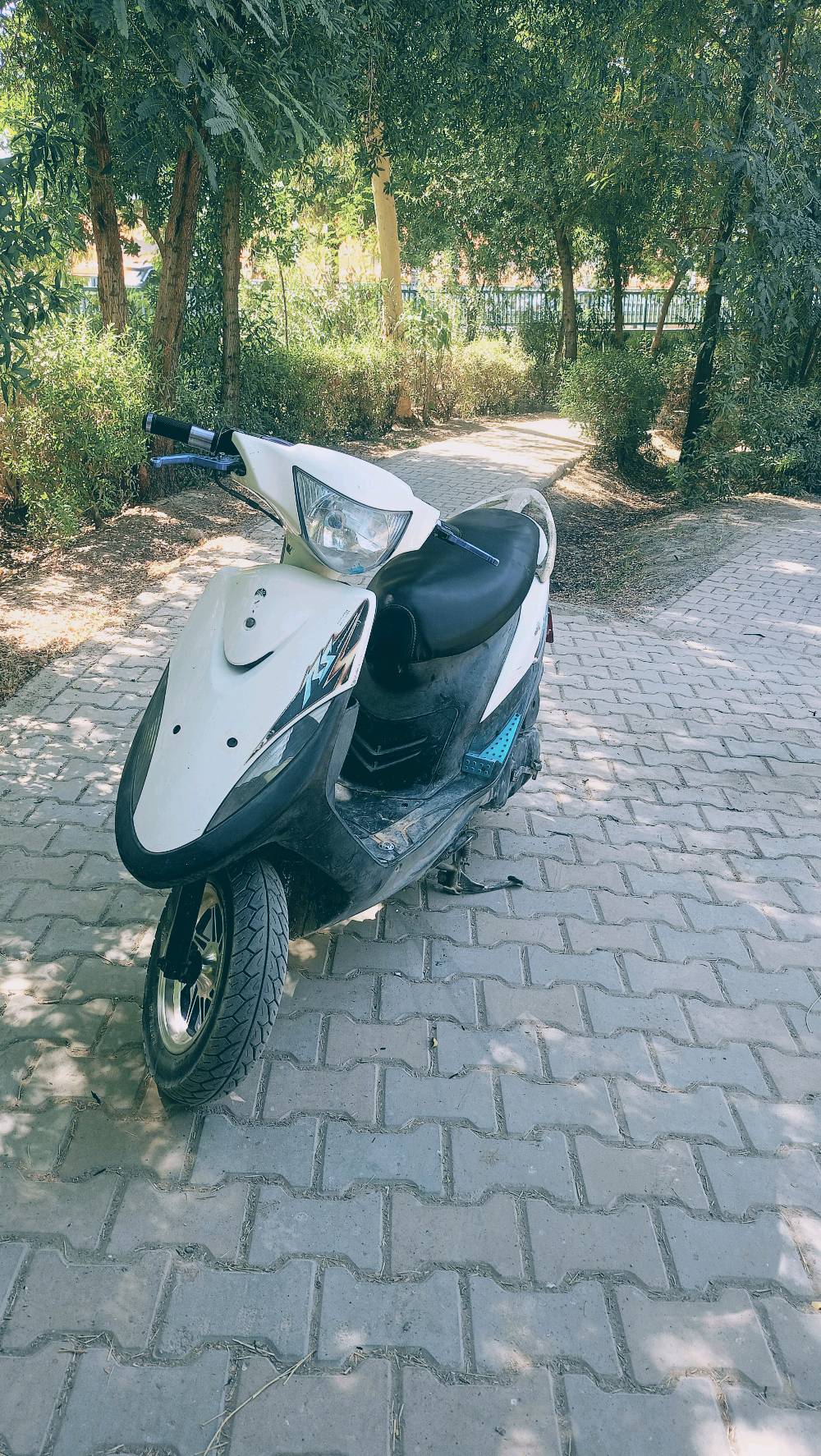 بعقوبة المفرگ