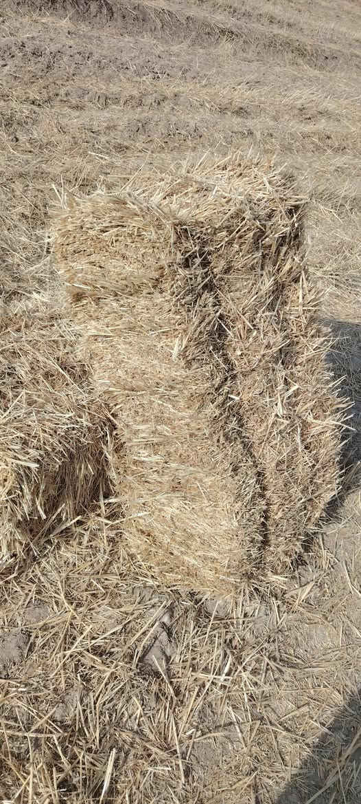 تبين كبس للبيع للتواصل واتساب *********** أو أو خاص
