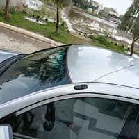 ميسبوشي ٢٠١٠ • صبغ عام • ضرر باب