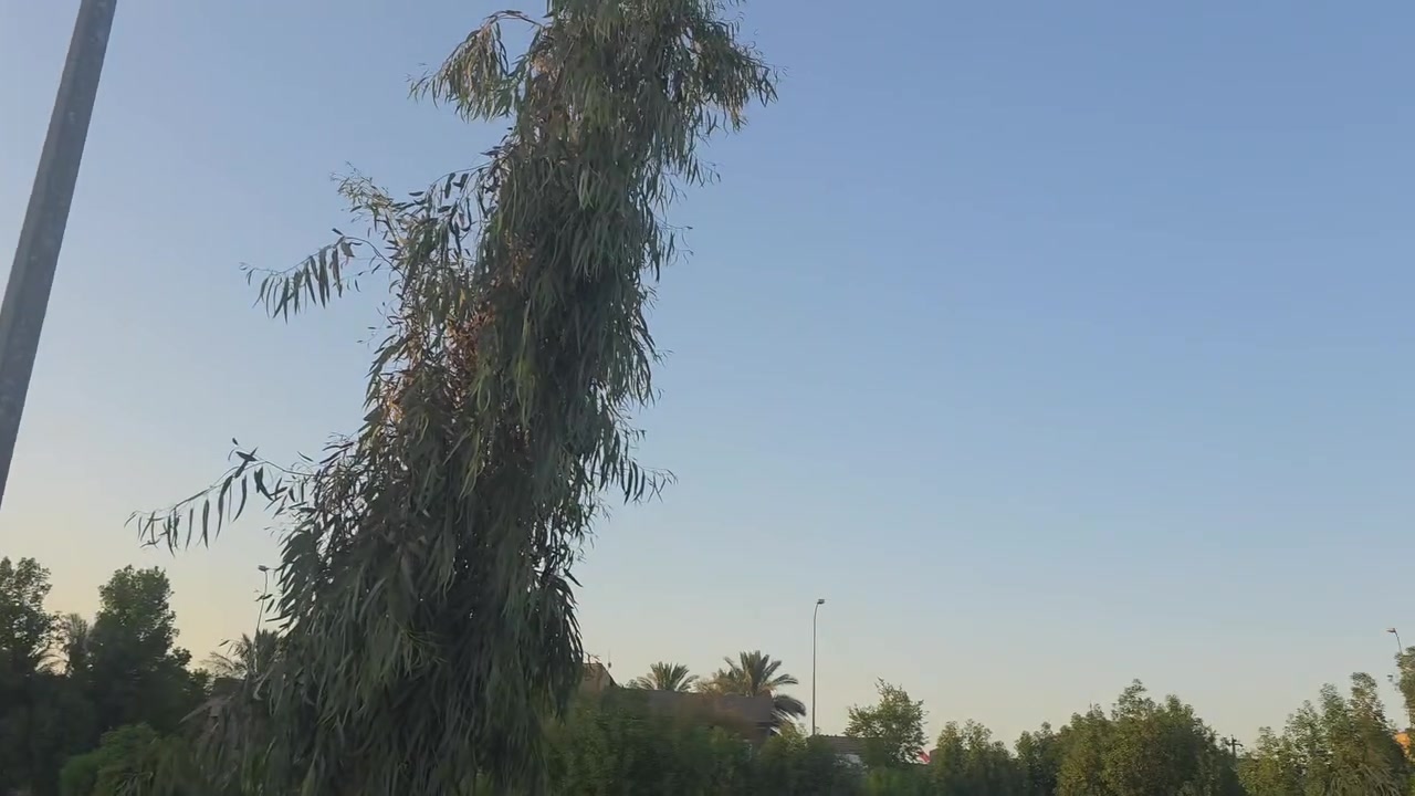 🏡 دار للبيع – طابو صرف

📍 الموقع: الأندلس – واجهة مباشرة على المتنزه
📐 المساحة: 200 م²

✨ المواصفات:

🏢طابقان

☑️بناء حديث (درجة أولى)

🛏 5 غرف نوم

✔️استقبال واسع

✔️صالتان

✔️مطبخ

✔️3 مجمعات صحية (داخلية وخارجية)

 فرصة مميزة لمن يبحث عن منزل حديث بموقع هادئ وإطلالة جميلة على المتنزه. يصلح روضة او حضانة او معهد 

📞 للاستفسار:مراجعة مكتب عالم العقار في الجمعية مقابل الإطفاء أو الاتصال على:📱 ***********📱 ***********

#عندك_عقار_للبيع_فقط_راسلنا_اواتصل_واتساب
