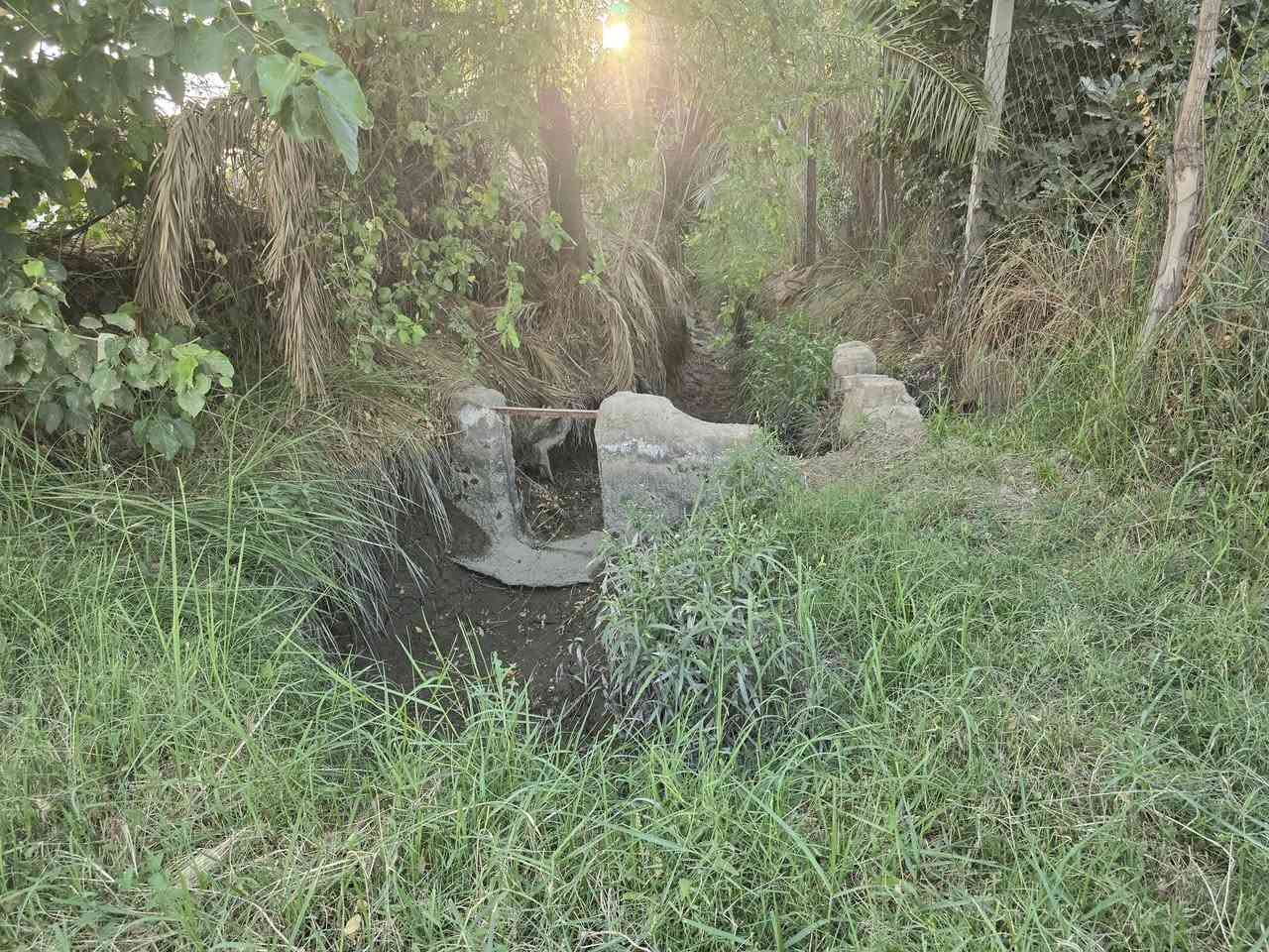 للبيع
بستان  

مساحة دونمين 
طريق السنيه السياحي 
نزله البو شهيب 
سند ٢٥ 
متوفر كافه الخدمات 
ماء
كهرباء 
للاستفسار مراجعة مكتب السنيه للعقار 
قرب جامع السنيه الكبير 
***********
