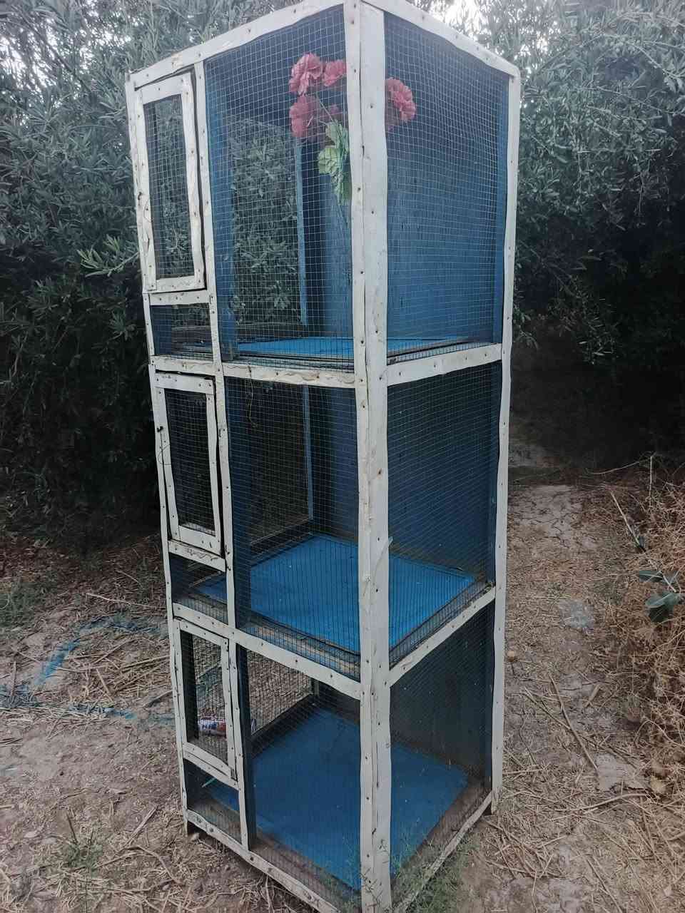 قفص للبيع مستمعل قليل اخو جديد
ارتفاع  مترين(2) .. عرضcm ٨٠
سعر قفص ٧٠ الف وبي مجال للطبيبن
اليريد💬📲 راسلني... او اتصل عل رقم
#***********

