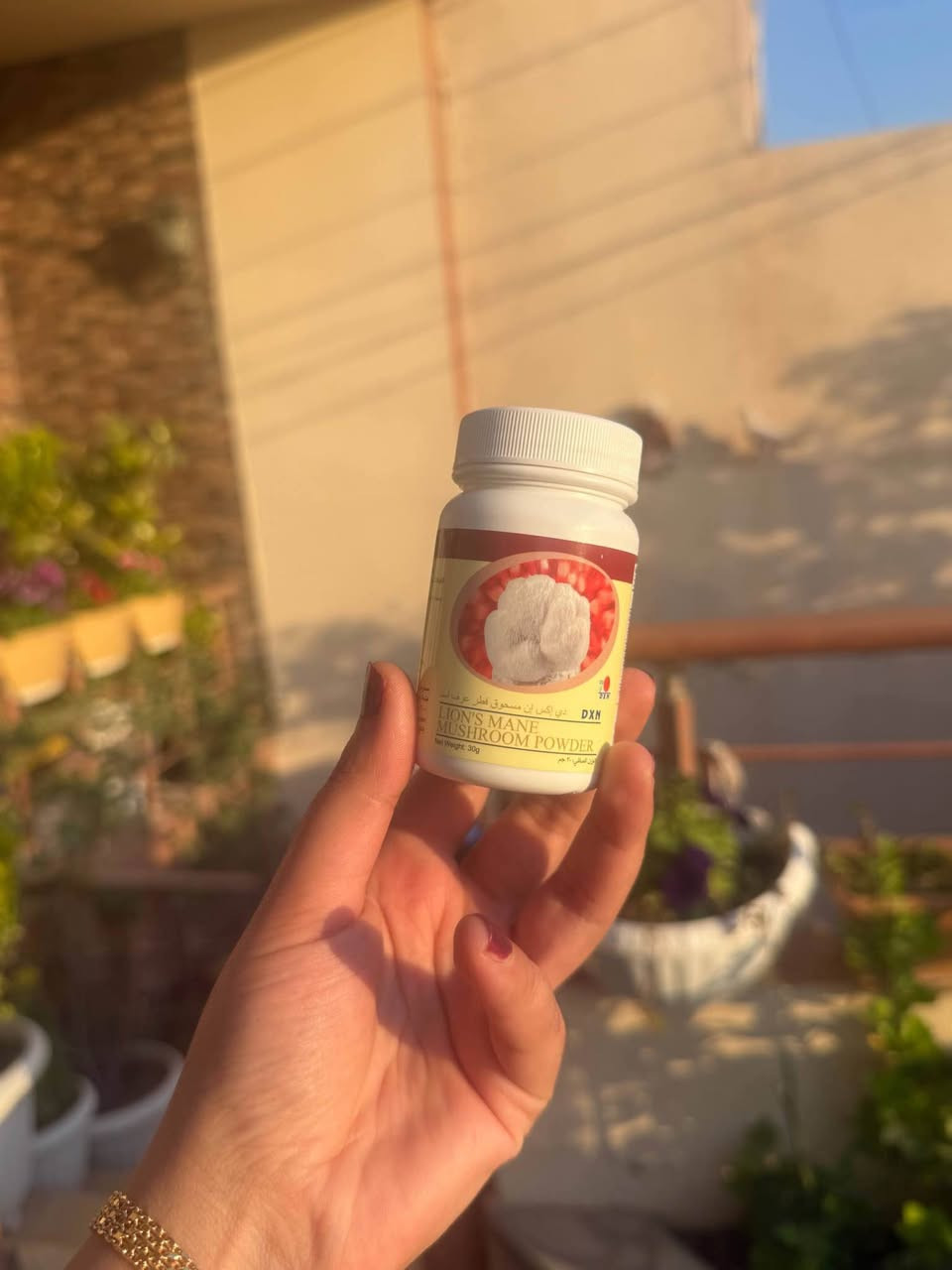 تۆزی قارچکی شێری شێر (Lion's Mane Mushroom Powder) لە براندی جیهانی DXN 🧠✨
ئەگەر بەدەست کەمبوونەوەی تەرکیز، ماندوێتی مێشک یان لەبیرچوونەوەوە دەناڵێنیت، ئەم تەواوکەرە خۆراکییە سروشتییە باشترین هاوڕێت دەبێت لە ڕۆژەکەتدا.
✨ گرنگترین سوودەکانی ئەم بەرهەمە:
• بەهێزکردنی مێشک: یارمەتیدەرێکی ناوازەیە بۆ بیر تیژی و بەرزکردنەوەی ئاستی تەرکیز (بەتایبەت بۆ خوێندکاران و فەرمانبەران).
• پارێزەری دەمارەکان: یارمەتی نوێبوونەوە و پاراستنی خانە دەمارییەکان دەدات.
• وزە و چالاکی: ماندوێتی گشتی جەستە ناهێڵێت و وزەی ڕۆژانەت زیاد دەکات.
• ئارامی دەروونی: کەمکەرەوەی دڵڕاوکێ، قەلەقی و خەمۆکی سووکە.
• کۆئەندامی هەرەس: پشتگیری تەندروستی گەدە و ڕێخۆڵە دەکات.
🌱 تایبەتمەندییەکان:
• ۱۰۰٪ سروشتی و ئۆرگانیک.
• بێ هیچ ماددەیەکی کیمیایی یان پارێزەر.
• بەکارهێنانی ئاسانە (دەکرێتە ناو ئاو، شەربەت، یان قاوە).
📥 بۆ کڕین و داواکردن: ڕاستەوخۆ نامە بۆ ماسنجر بنێرن.
🚚 گەیاندنی خێرامان هەیە بۆ هەموو شار و شارۆچکەکان. السليمانية, العراق


**إذا كنت صاحب هذا الإعلان وتريد حذفه لأي سبب، رجاءا أرسل رسالة إلى الدعم الفني**