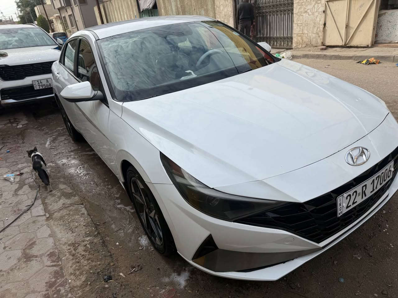 النترا مديل 2023 سياره وارد امريكي مكينه دوش 2000 سياره حادثه من امريكا بيه تعديل علكد شبر بمقدمت البنيد ومصبوغ البنيد وبل عراق دوس شوي منه نطخت وسويته وصبغت جزء منه سياره مناقصه ايشي تايرات حداده مكينه تبريد كلهن فول رقم اربيل تحويل ثاني يوم او وكاله مكان بصره المشراك الحديد
رقمي *********** البصرة, العراق
