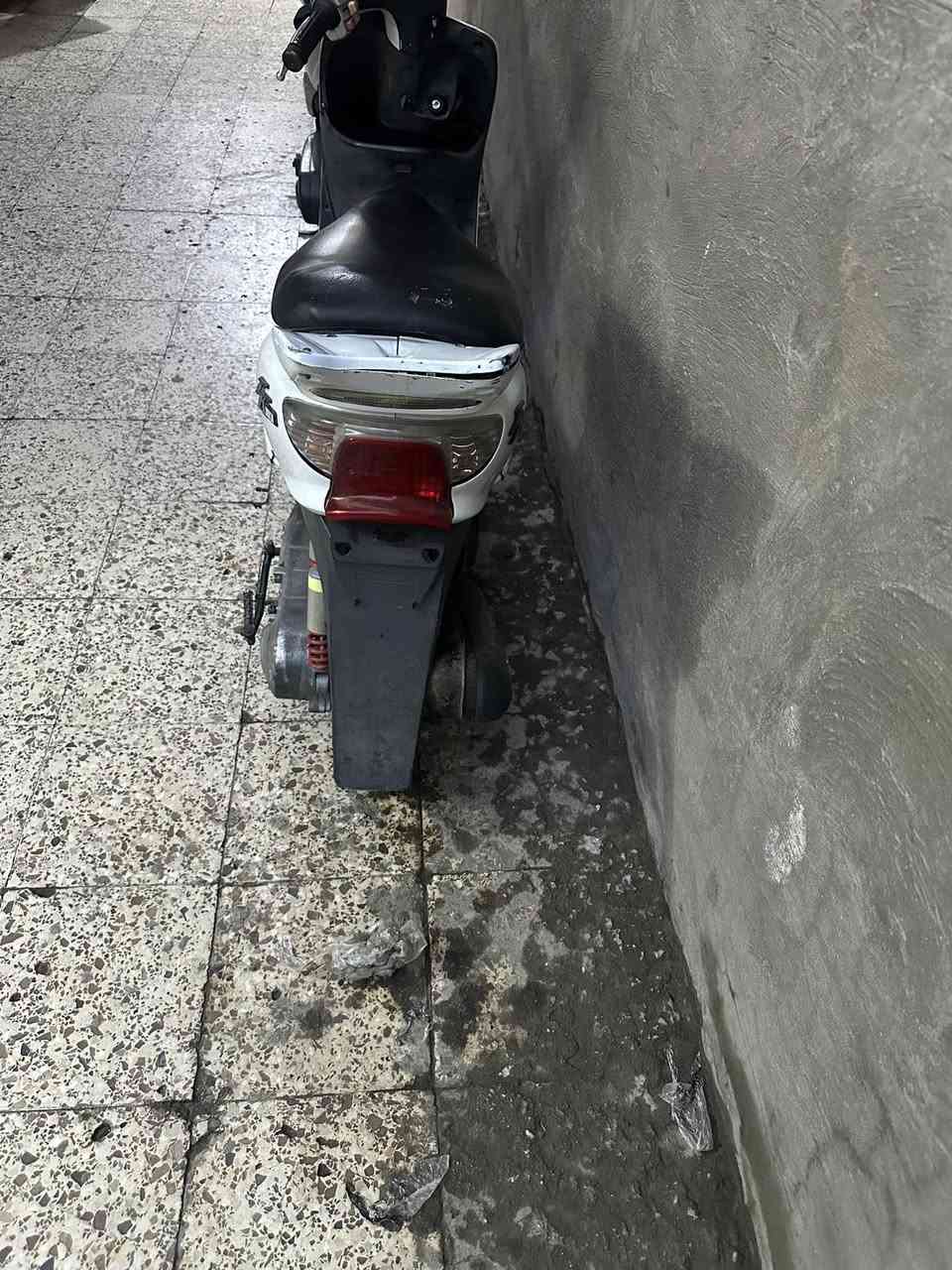 عصفوريه للبيع السعر ٢٨٠ وبيهه مجال بسيط *********** موجود واتس اب المكان الدولعي
