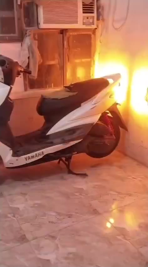 سكنس فحل دراجه بلاديه
مكاني بغداد الزعفرانية
***********
