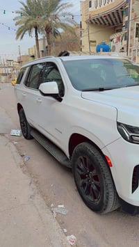 تاهو LS • ٢٠٢٣ • كفالة