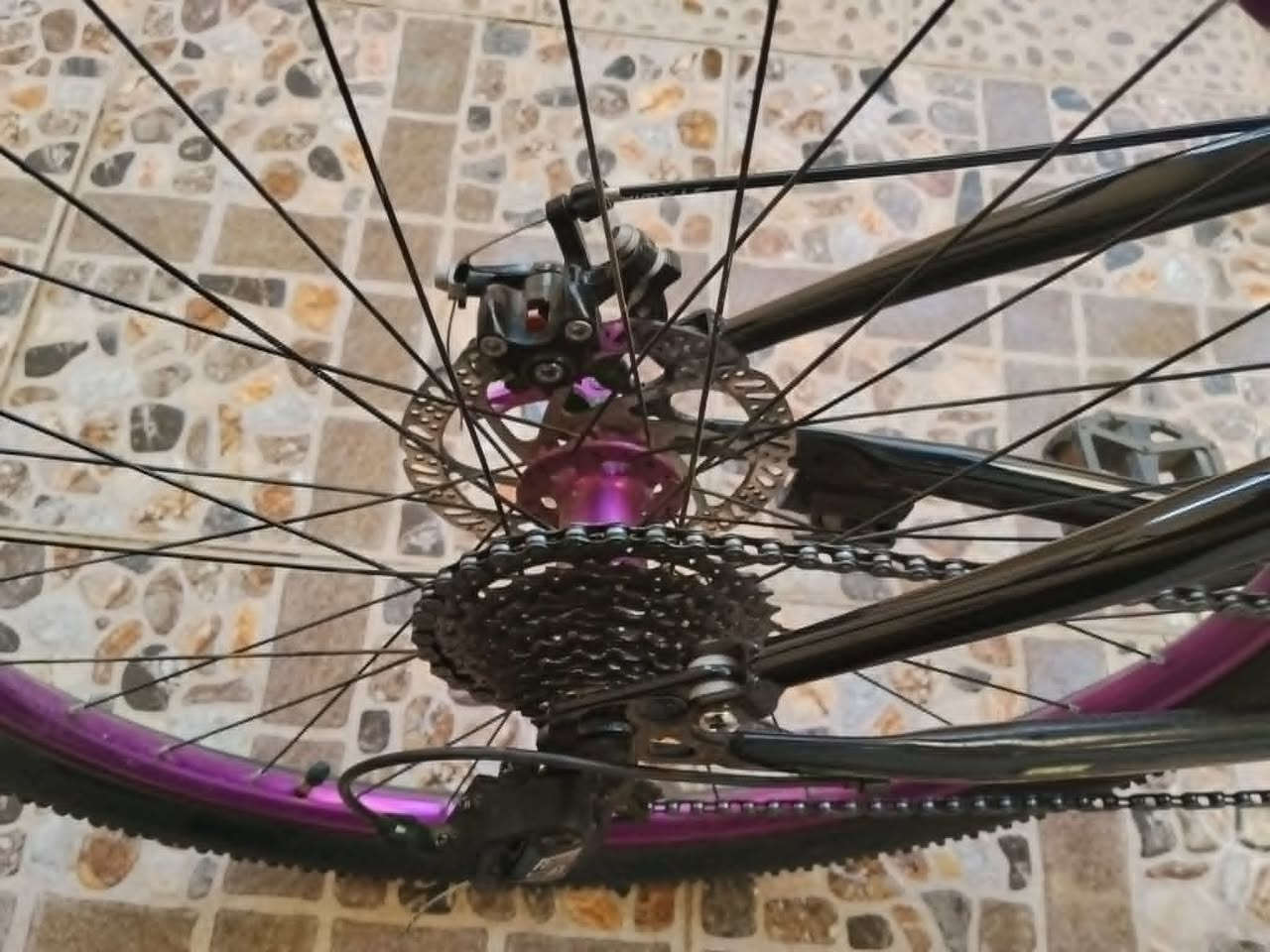 سڵاوتان لێ بێت ئەم پاسکیلە بۆ فرۆشتن mtb full suspension تایە 26 دوو دەبڵ مارکەی crolan زۆر پاکو خاوێنە تەنها دوو مانگ بەکار هاتوە. برێکی دیسک السليمانية, العراق


**إذا كنت صاحب هذا الإعلان وتريد حذفه لأي سبب، رجاءا أرسل رسالة إلى الدعم الفني**