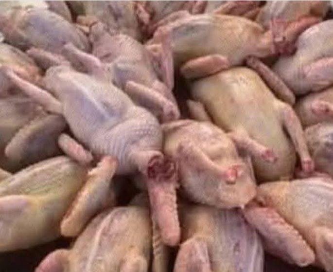 موجود مطبوخ وبلا طبخ 
حجز وتساب ***********
توصيل داخل بغداد فقط
