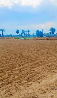 دونم طابو زراعي  للبيع . يصلح مزعه خاصه او سكن خدمات كامله  العنوان ال...