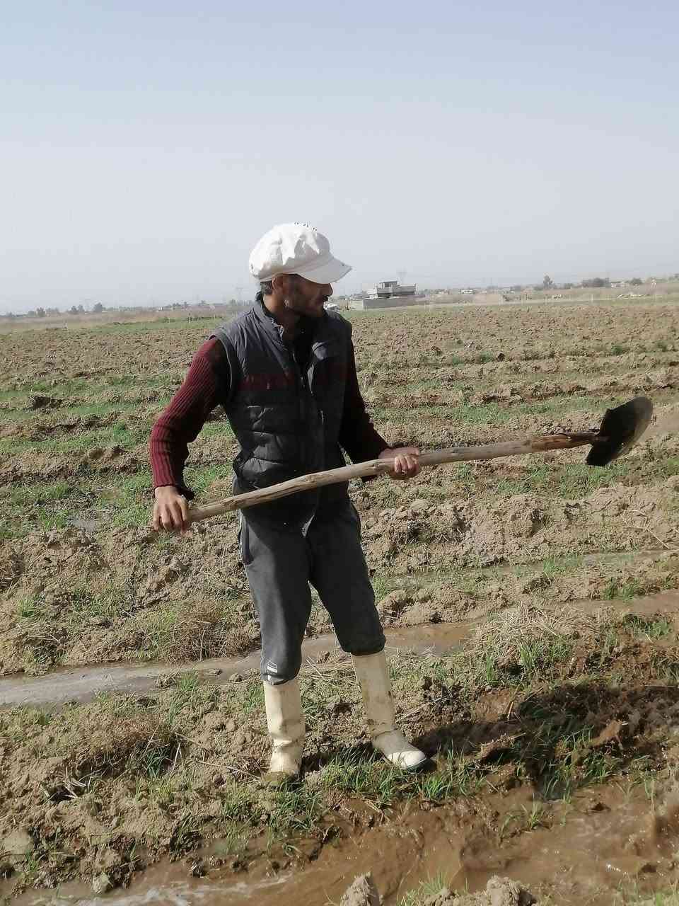 اي مكان اسجي بيجي بعيجي جيسات اشويش حي مهندسين. جريش مالحة مزرعة #سجي #بي #صمت #ودع #الحنطة #تتكلم
#سجي #بدون #توقف #لان #الكاع #يابسة #والجو #حار #والحنطة #تحتاج #ماء.#وموطورك #اترسة #كاز #وجهز #ترمز #الماء #البارد #لشرب 
#ورتب #جايك #المهيل #عل #جمر. اني حاضر  ***********
***********
