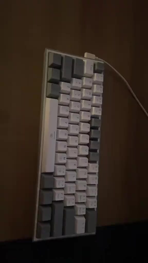 توفر الكيبورد ريددراجون سعره 25 اصلي ممفتوح جديد سعر جوة السوك يتوفر توصيل مكاني بغداد الحرية


**إذا كنت صاحب هذا الإعلان وتريد حذفه لأي سبب، رجاءا أرسل رسالة إلى الدعم الفني**