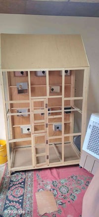 قفص بلابل للبيع07741106137