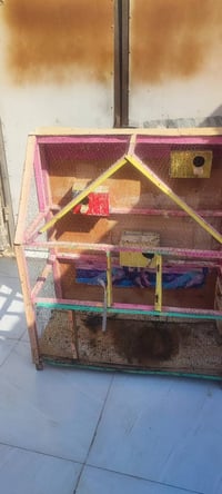 قفص • ديكور منزلي