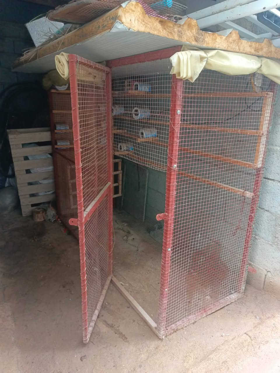 قفص للبيع العرض 90 الطول مترين الرتفاع مترين ***********
