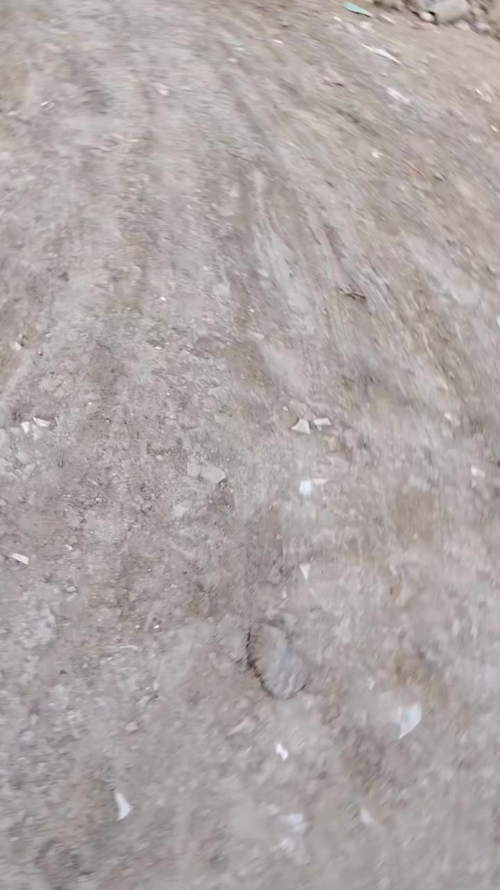 بيت زراعي للبيع المساحه ١٣٠ غرفه6 و صاله 6 و مطبخ 6 و ديوانيه 7 السعر ٢٥ وبيه مجال العنوان حي فدك السعداويه طريق ال عواد ***********
