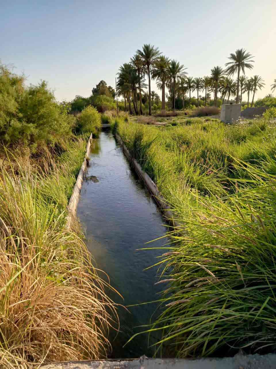 #هام_جدا_بخصوص_هاي_كاع_مالتي
اخوان هاي الكاع مالتنه وبسمنه السند انشر يجون الدلالين يخمطون الكليشه ويكتبلك بسمي تخابره يكلك بسم عمي لو جدي لو خالي لو بسم حبيبي يخليك تتكاتب عل كاع وتتفاجئ يطلب منك دلاليه يابه مو انته كتلي هاي مالتنه لا اني دلال ويخليك ترضى بأمر الواقع وتدفع دلاليه غصبن عليك وشكو كاع انشرهة فيه بسمنه وسندات ومرتسمات وتثبيت حدود زين تحياتي
هاي صور المناطق الدينشرونهة دلالين

السلام عليكم اخواني الأعزاء الغالين
10 دوانم طابو زراعي سند 25 الأرض بسمي فتح بيان مباشر انشاء الله
الواجهة للدونم الواحد 50 متر ونزال 50 متر يعني مربعه
السعر 24 مليون وبي مجال للدونم 
التاجي ذراع دجله منطقة الشيخ عامر مجاور مركز صحي
للاتصال والاستفسار *********** - واتساب
