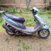 ماكس منغولي • نضيفه • السيديه