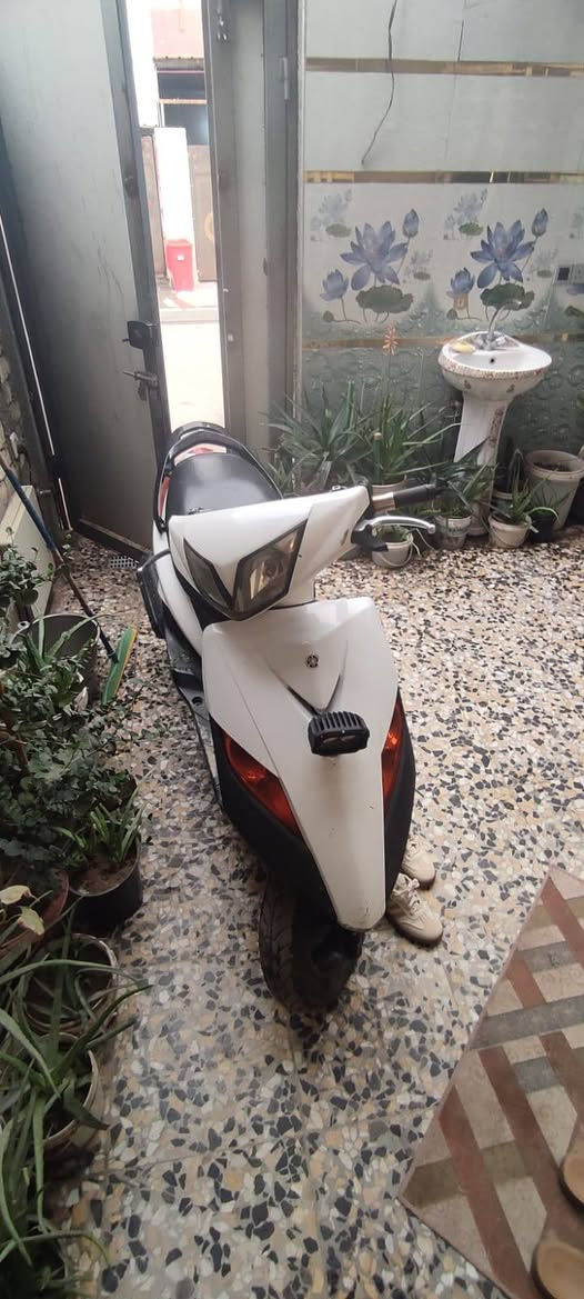 السلام عليكم ماكس ثعلب دراجه كلهة بلاديه سلف هندر كهربايات كلهة شغاله شلعه معدل دراجه خير من الله مكاني مدينه سعر ٥٥٠// ***********
