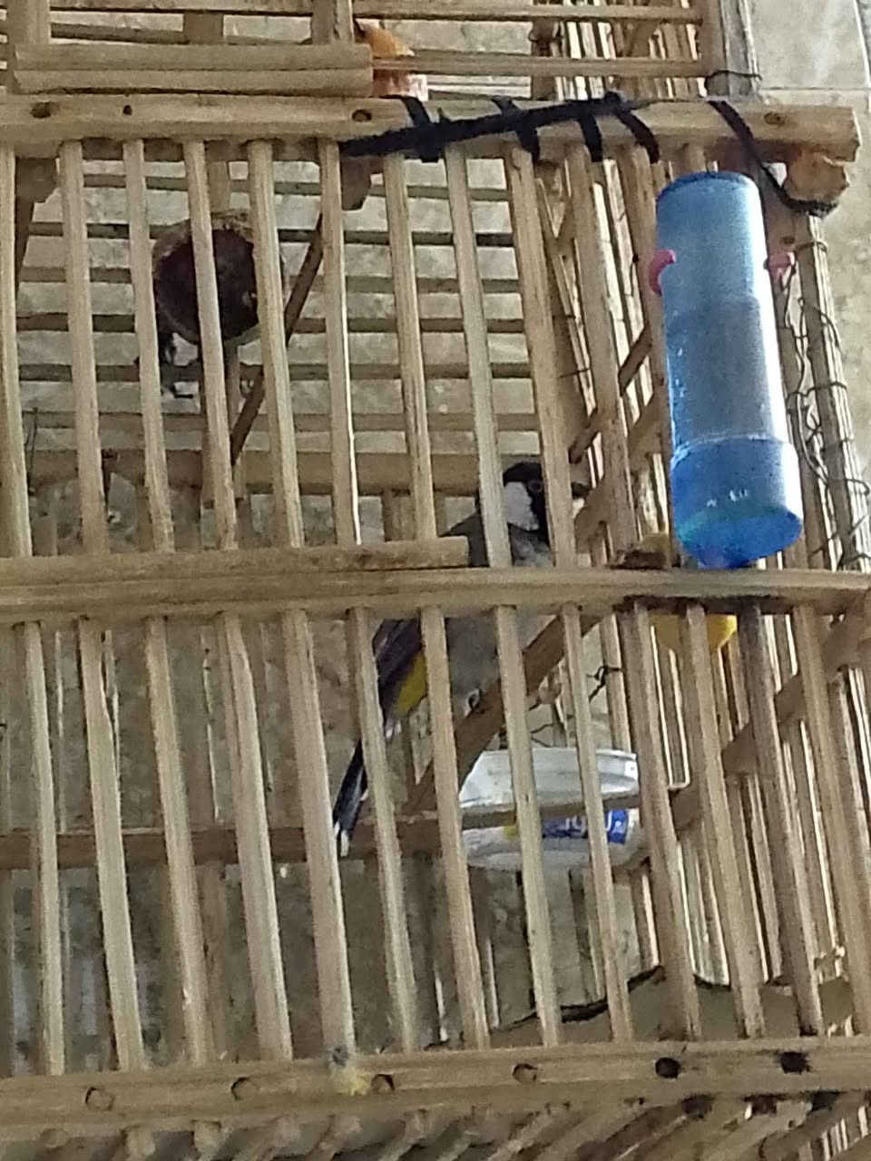 اغراض مستعملة للبيع العنوان بغداد الشعب بغداد, العراق


**إذا كنت صاحب هذا الإعلان وتريد حذفه لأي سبب، رجاءا أرسل رسالة إلى الدعم الفني**