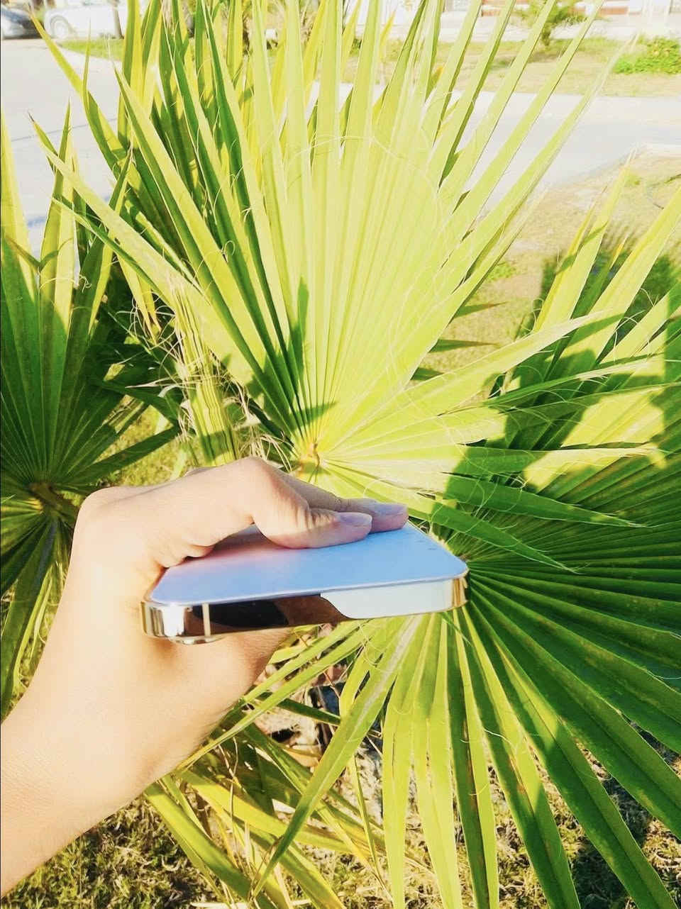 سلام عليكم أيفون 13 برو ماكس 
‏اللون مميز الذهبي
‏ذاكرة 256 بطارية 95 بلادية غير محفزه الجهاز كله بلادي وتربروف كفالة عامة شرط الفحص بأي مكان يعجبك نظافة 100% 100 أخو الجديدة بمعنى الكلمة شخط واحد ما به المكائن الناصرية مركز
￼*********** اتصال فقط
