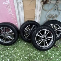 تخم ويل ١٦ • نضافة ٩٨٪ • الدورة الصحة