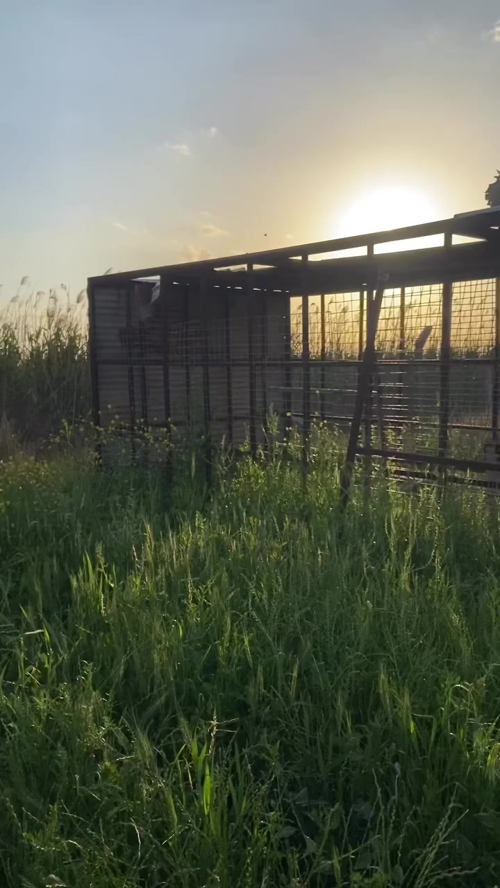 السلام عليكم ارض للبيع المساحة ٢ دونم
تحتوي على أشجار فواكه و حمضيات عمر سنة 
وأنواع نخيل جيدة 
وبئر ماء صالح للسقي 

الموقع 📍قرية ٩ نيسان تقاطع النهروان تقع على المشروع الرابع الصب 

للتواصل ***********
