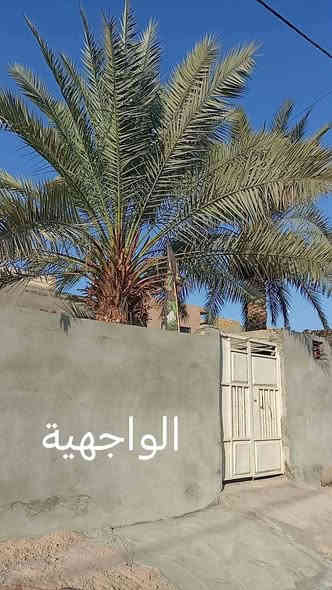 السلام عليكم بيت طابو صرف للبيع مساحه 150متر بناء جديد بناء طابوك رباط كونكريت السقف عگاده البيت يتكون من غرفتين  وصاله ومطبخ وحمام وصحيات البيت جديد مامحتاج كلشي موقع مالته جيد جدا المكان حي العسكري الغربي قرب شارع العريضه قرب صيدليه محمود الجنابي الاستفسار ***********ابو حسن العارضي السعر خاص
