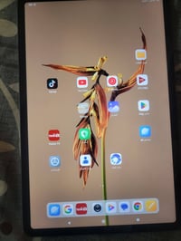 ريدمي باد برو • ٢٥٦ • شاشة ١٢.١