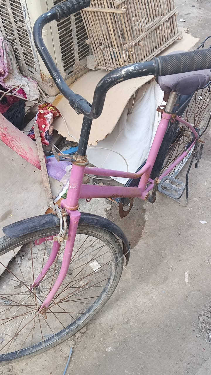 سلام عليكم بايسكل حجم 26 مصبوغ كلشي مابيه السعر 35 وبي مجال مكاني فضلية تواصل خاص


**إذا كنت صاحب هذا الإعلان وتريد حذفه لأي سبب، رجاءا أرسل رسالة إلى الدعم الفني**