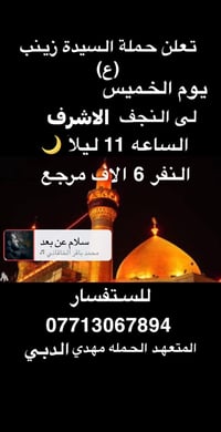 حملة السيدة زينب • كربلاء المقدسة • النجف الأشرف