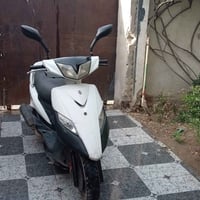 ثعلب • للبيع • واتساب