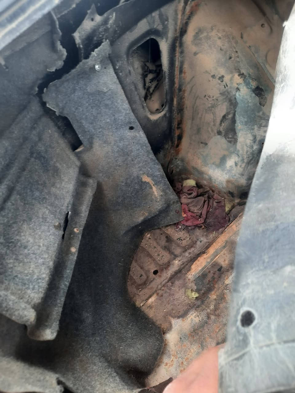 السلام عليكم ورحمة الله وبركاته كيا سيفيه للبيع مكفوله من الضربه محرك مسكر بدون ارفيو رقم بابل سنويه يوم 2تسقط موديل 95 مصبوغ عام صدر خير من الله مكينه جديده كير عادي كهربائيات شغاله راعيها يريد تحويل رقم انكليزي جاهزه السياره خير من الله مكانه واسط الصويره للإستفسار أتصل ***********
