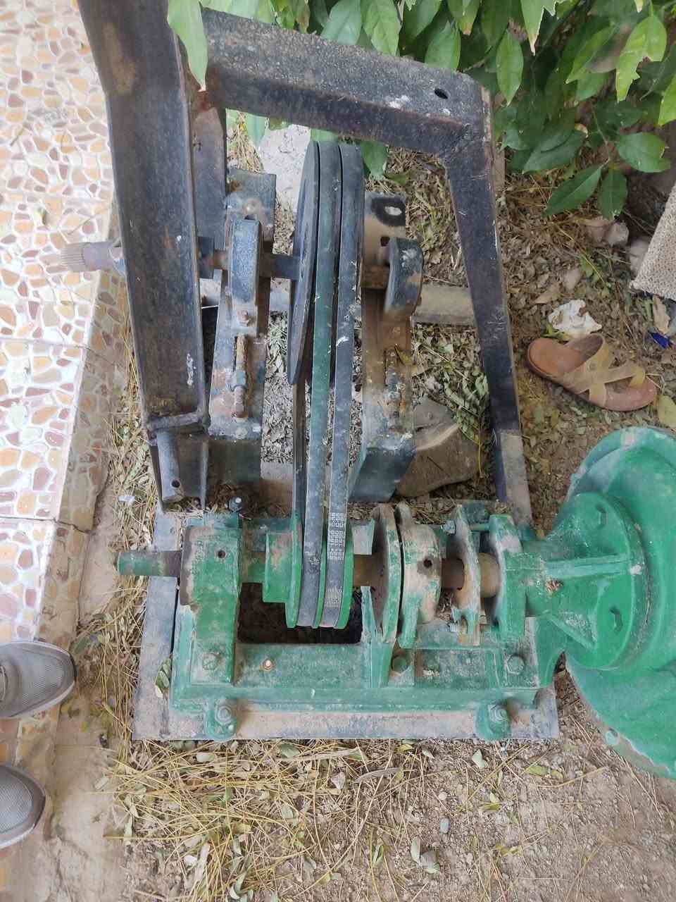 خنزيرة نظيفة حجم6/ب5
فول نظافة  شغلها خير من الله 

سعر 450
 العنوان /ديالى جلولاء 

للاستفسار الاتصال على ***********
