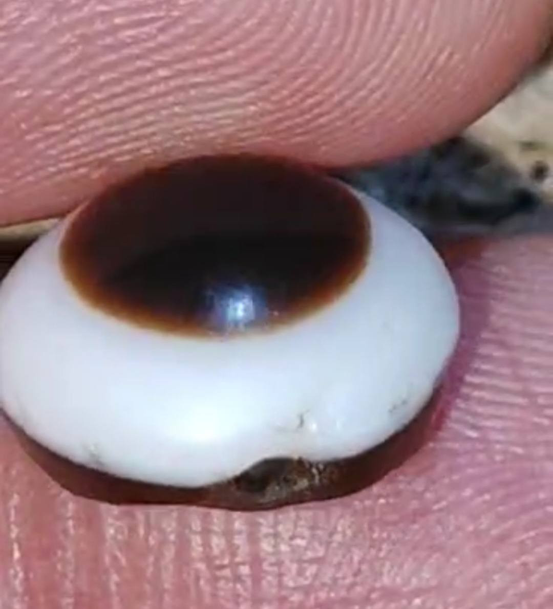 جزعه يمانيه اصيله 
تواصل على الرقم 
***********
