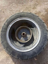 ويل جدام • شوته • ضفيره