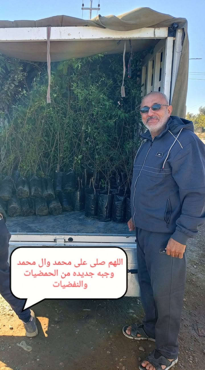 اللهم صلى على محمد وال محمد 
مشتل الجمعيه 💯 
مجموعه جديده من النباتات النفضيه والحمضيات 
الدجيل الجمعيه خلف الدفاع المدني 💯 
للاستفسار والحجز مازنجر واتساب ***********
تين اسود 2000،💯
كوجه كربلائيه 3000💯
مشمش احمدي 3000💯
تفاح ابراهيمي 2000💯
 تفاح كاغدي 2000💯
 تفاح كوفي 2000💯
تكي كندي 3000💯
رمان سليمي 1500💯
برتقال سندان خشن 7000💯
برتقال كيس خشن 4000💯
برتقال كيس 3000💯
رارنج خشن ارتفاع 2متر 4000💯
كميات مفتوحه لسنا الوحيدون 💯
 لكننا الافضل 💯💯💯💯💯
