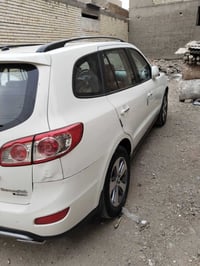 سنتافيا • ٢٠١٢ • بغداد العبيدي